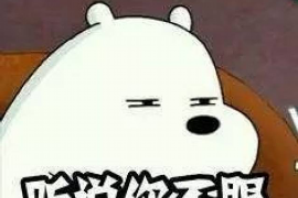 武汉市正规讨债公司:专业解决债务问题的可靠选择 武汉市正规讨债公司:专业解决债务问题的可靠选择