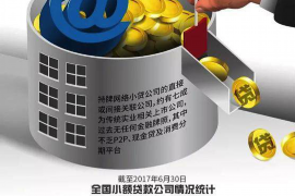 蒲县要钱公司哪里找？专业金融服务，助您无忧投资