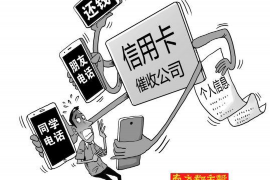 杭州《孤芳》讨债风波：揭秘网络文学平台的债权困境