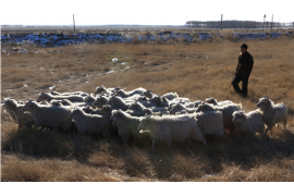 泌阳讨账公司哪里找？专业追回欠款，保障您的权益