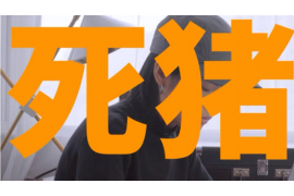 大连CBC催收：专业高效的债务回收服务