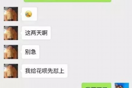 西平县不良贷款催收电话：如何应对与防范