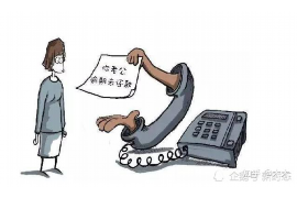 西藏追债公司怎么收费？揭秘追债行业的收费标准与流程